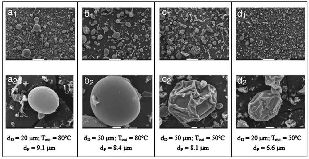 SEM Images of HPMCP Spray-Dried Particles Under Different Process Conditions SEM Images of HPMCP Spray-Dried Particles Under Different Process Conditions