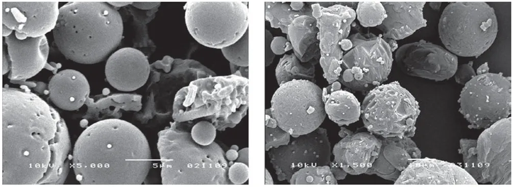 SEM Images of Spray-Dried Particles SEM Images of Spray-Dried Particles