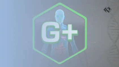 ADME Simulations: Insights into Bioavailability and Pharmacokinetics