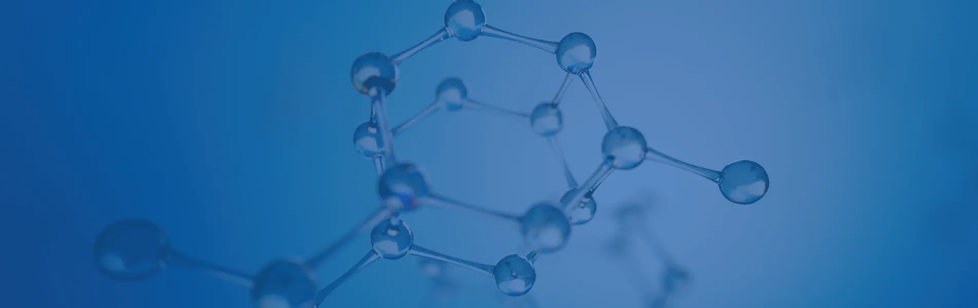 Solid Form CRO Services and Formulation CDMO Services